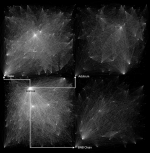 1760060726757.png 1760060726757.png