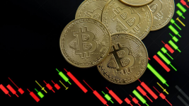 1761117838446.png 1761117838446.png