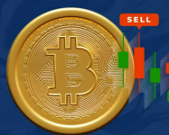 1761287944184.png 1761287944184.png