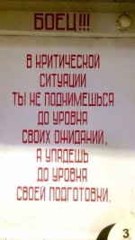 загруженное (2).jpg