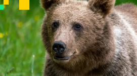 1761412696570.png 1761412696570.png