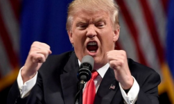 1765123483521.png 1765123483521.png